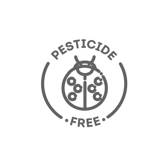 Icon of bug surrounded by words &quot;pesticide free.&quot;