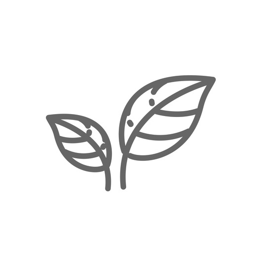 Icon of healthy plant leaves.